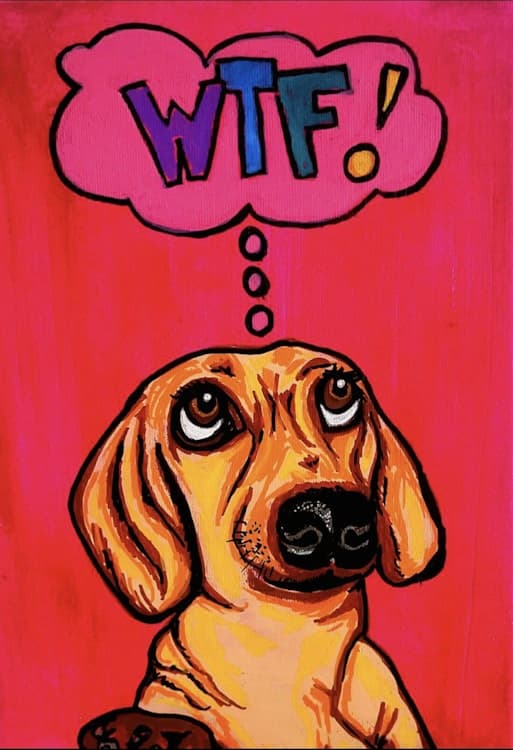 WTF! image