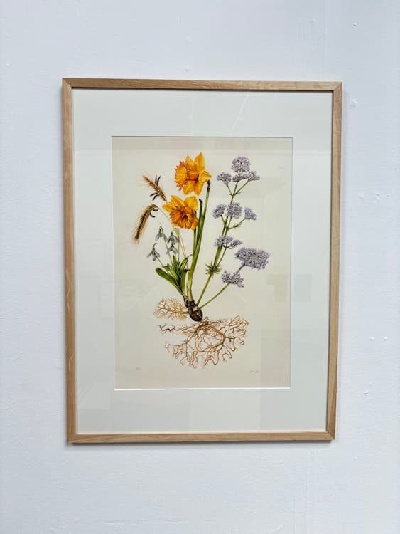 The Medicinal Brain - Limited Edition Giclée Print image