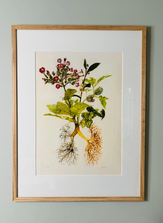 The Medicinal Lungs - Limited Edition Giclée Print image