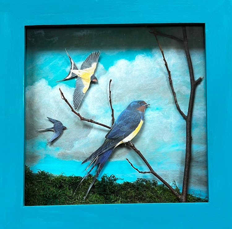 Swallow B image