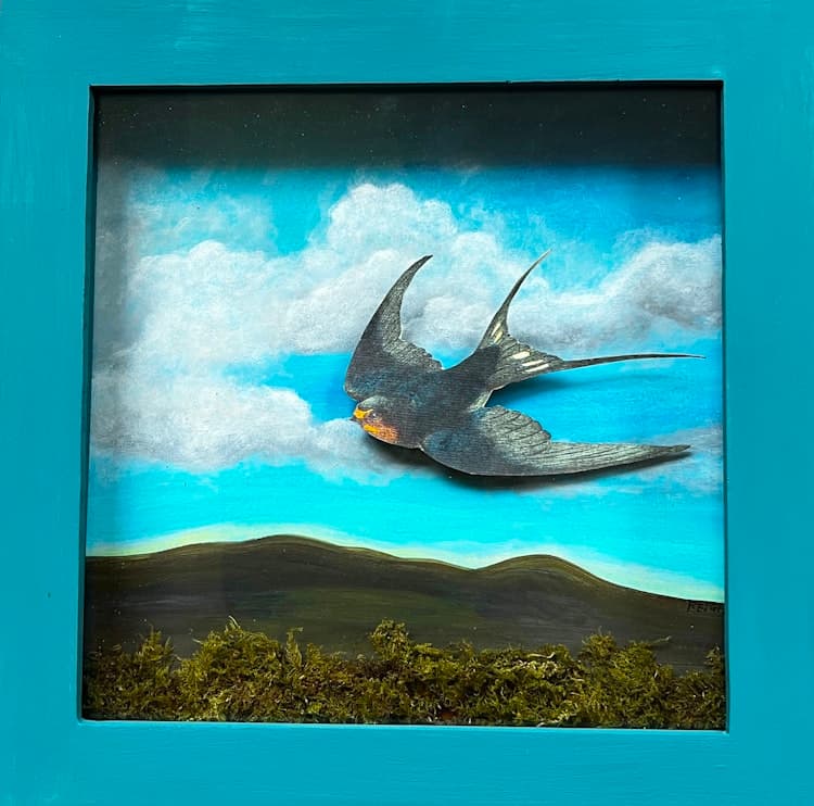 Swallow A image