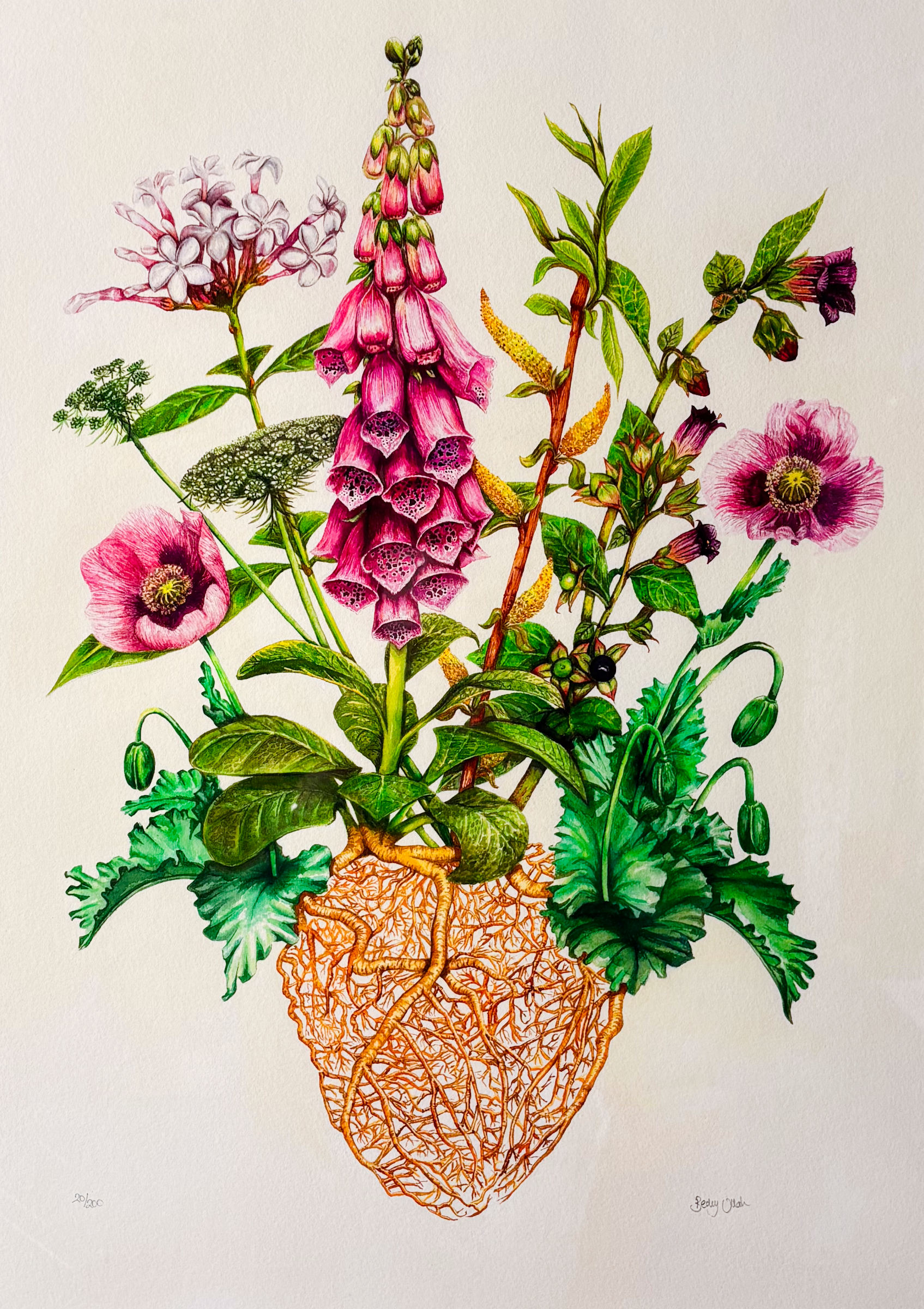 The Medicinal Heart