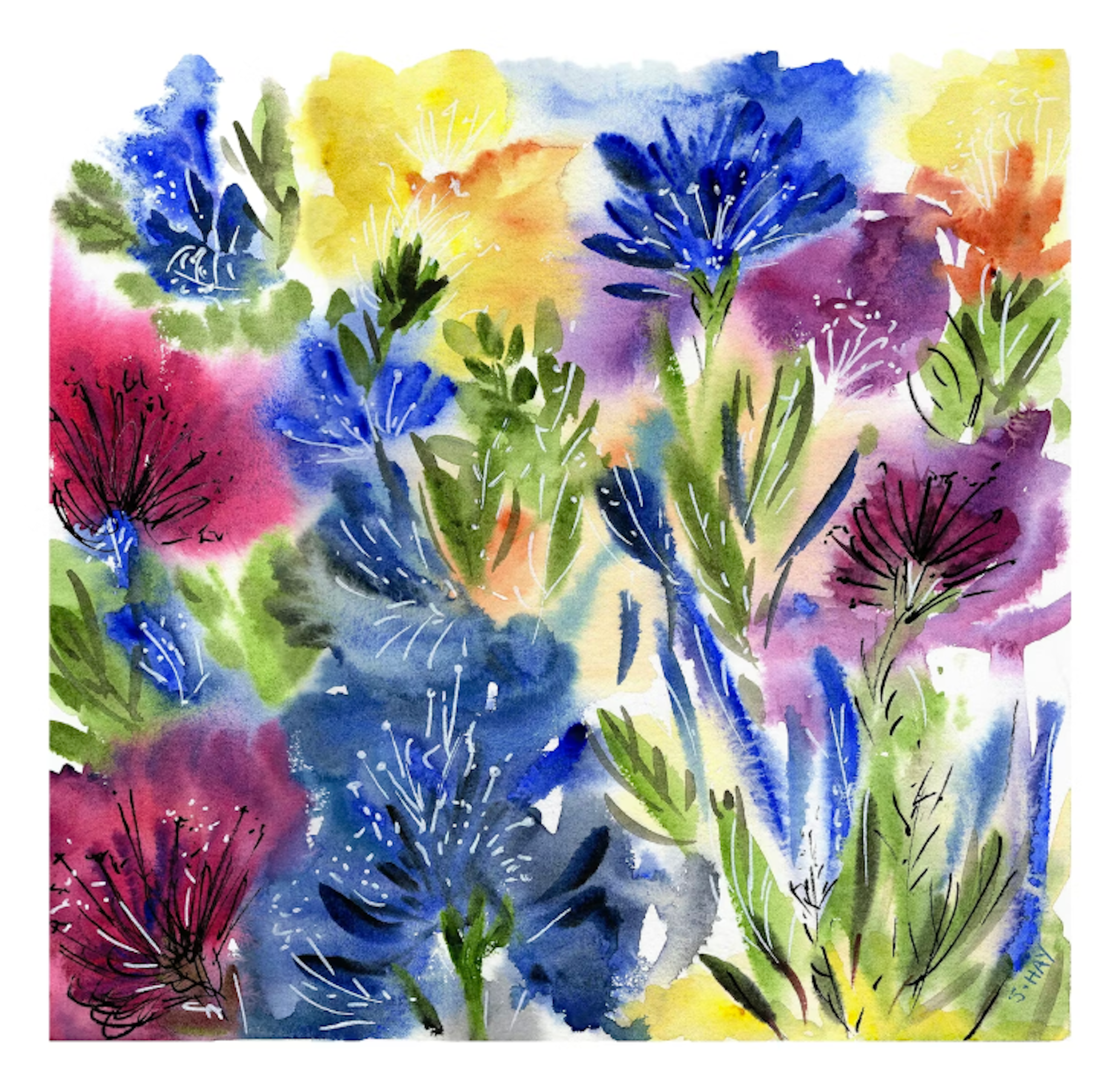 Blooming Irises