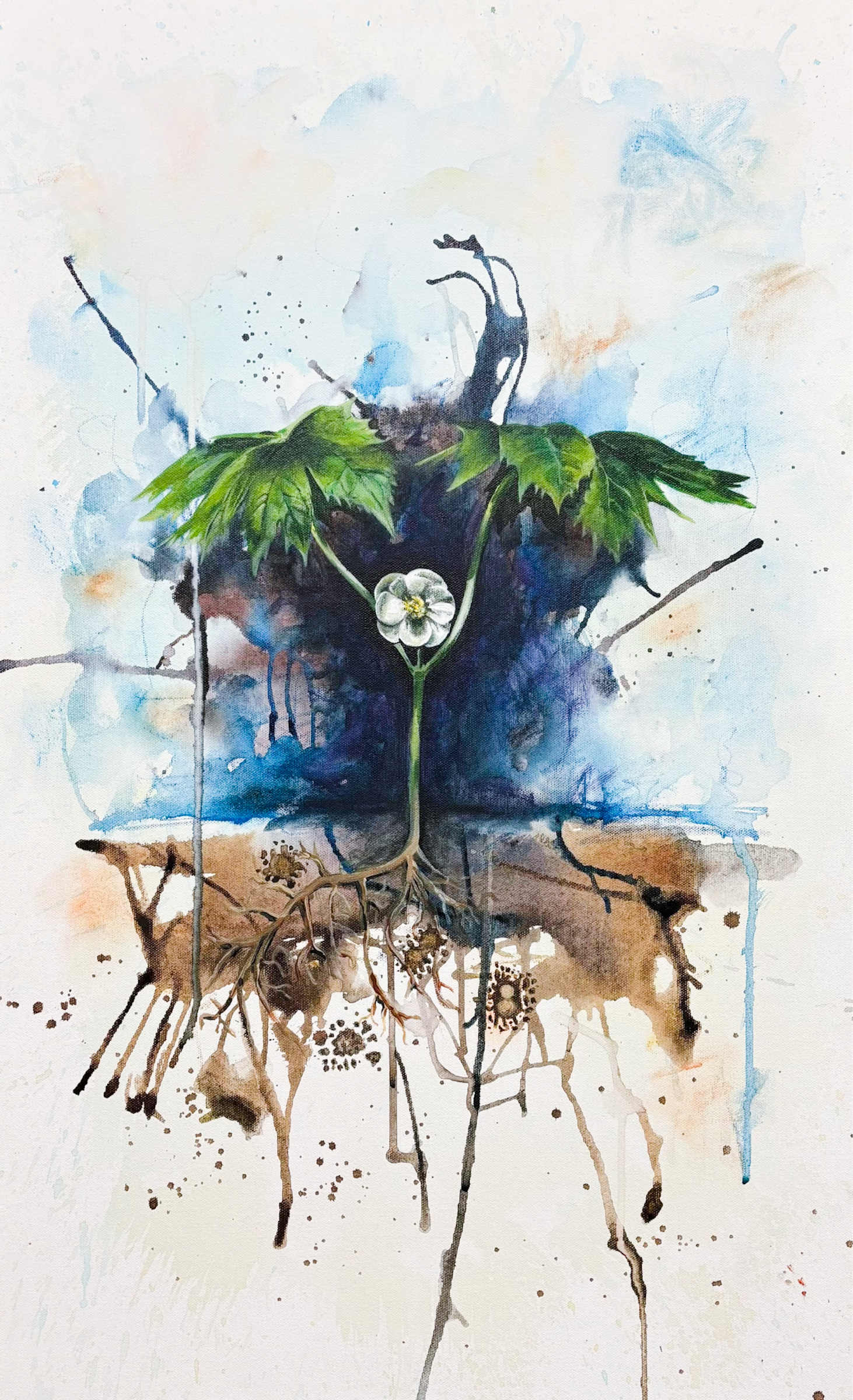 Etopisode | Mixed Media